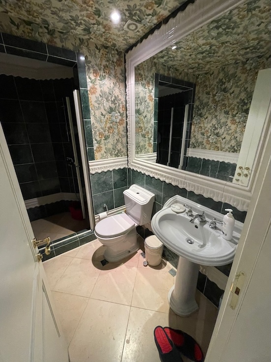 Вилла в Турции 6+1 Lusia villa в районе Беюкчекмедже в Стамбуле - Фото 16