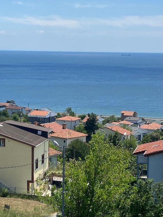 Вилла в Турции 4+1 в районе Силиври в Стамбуле - Фото 4